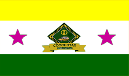 Bandera de Coochotax